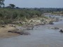 Mara River