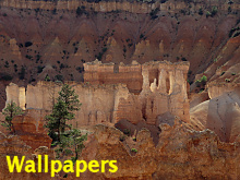 Click and go to our Wallpaper Pages