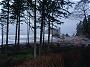 Olympic Peninsula Pasific Coast