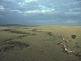 Masai Mara from Balloon