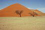 Sand dunes, Sossus Vlei, Namibia
