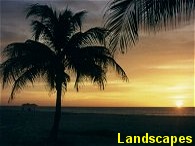 Click and go to our Landscape Images