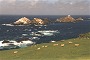 Shetland Coast, Hermaness Unst, Shetland Islands