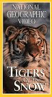 National Geographic's Tigers of the Snow (1997)