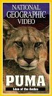 National Geographic's Puma: Lion of the Andes (1997)