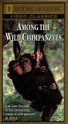 National Geographic's Among the Wild Chimpanzees (1984)