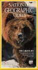 The magnificent grizzly bear, a beast most often portrayed as a deadly and dangerous monster, is profiled in detail in this documentary produced by National Geographic. As the narration of this video notes, the grizzly is the undisputed -monarch of the forest- and its only rival is man. The tension between humans and the great bears is well documented in this video, which shows how the bears were killed off in most of the western United States, but are thankfully now protected in Yellowstone National Park. In Alaska, the bears are less threatened by humans and are studied in their natural habitat. As one would expect from National Geographic, the photography in this documentary is magnificent, and the footage of the grizzlies in the wild is awesome. Scientists who have studied the bears, and a man who has trained a grizzly that has appeared in movies, provide considerable information about the intelligence and habits of grizzlies.