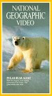 National Geographic's Polar Bear Alert (1982)