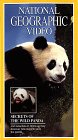 National Geographic's Secrets of the Wild Panda (1995)